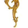 176 - Pair of sconces rococo style